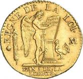 Reverse Louis d'Or 1793 M