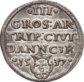 Reverse 3 Groszy (Trojak) 1537 Danzig
