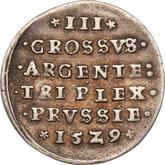 Reverse 3 Groszy (Trojak) 1529 Torun
