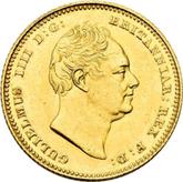 Obverse Half Sovereign 1837 Large size (19 mm)
