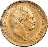 Obverse Half Sovereign 1836 Large size (19 mm)