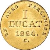 Reverse Ducat 1824 C