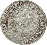 Reverse 1 Grosz 1536 I Lithuania