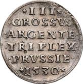 Reverse 3 Groszy (Trojak) 1530 Torun