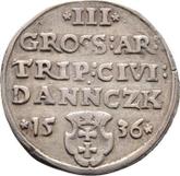 Reverse 3 Groszy (Trojak) 1536 Danzig