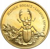 Reverse 2 Zlote 1997 MW Stag Beetle