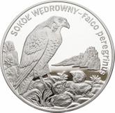 Reverse 20 Zlotych 2008 MW NR Peregrine falcon