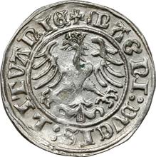 Medio grosz 1509    "Lituania"
