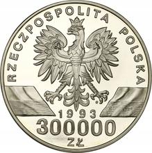 300000 złotych 1993 MW  ET "Jaskółki"
