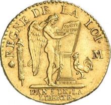 Louis d'or 1793 M  