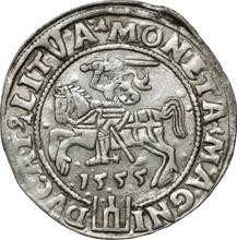 1 grosz 1555    "Litwa"