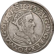 4 groszy (Czworak) 1565    "Lituania"