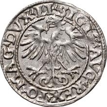 Полугрош (1/2 гроша) 1554    "Литва"