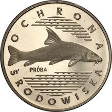 100 Zlotych 1977 MW   "Fisch" (Probe)