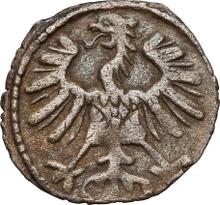 1 denario 1555    "Lituania"