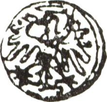 Denar 1539    "Gdańsk"