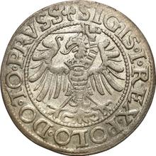 1 грош 1539    "Эльблонг"