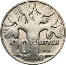 20 złotych 1964 MW   "Drzewo" (PRÓBA)