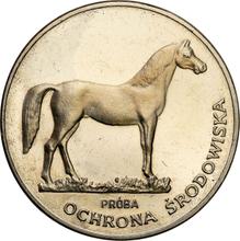 100 Zlotych 1981 MW   "Horse" (Pattern)