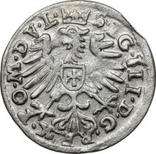 1 grosz 1609    "Lituania"
