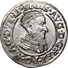 4 groszy (Czworak) 1569    "Lituania"