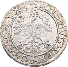 1/2 Grosz 1561    "Lithuania"