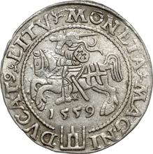 1 grosz 1559    "Lituania"