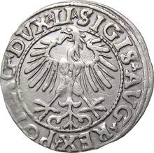 Полугрош (1/2 гроша) 1557    "Литва"
