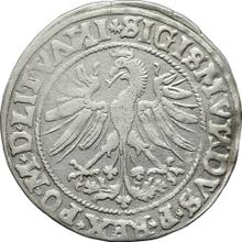 1 Grosz 1535    "Lithuania"