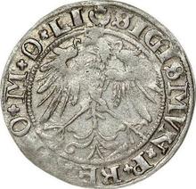 1 grosz 1536  I  "Litwa"