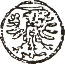 1 denario 1552    "Elbląg"