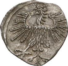 Denar 1560    "Lithuania"