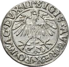 Полугрош (1/2 гроша) 1551    "Литва"