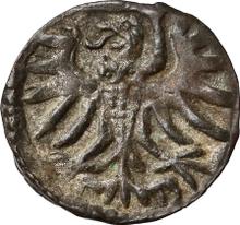 1 denario 1556    "Elbląg"
