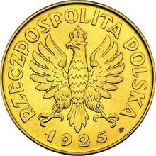 5 Zlotych 1925 ⤔   "81 Perlen Umrandung" (Probe)