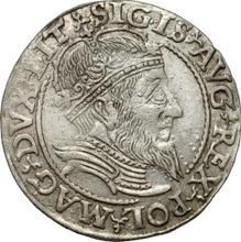 1 Grosz 1559    "Lithuania"