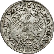 1/2 Groschen 1555    "Litauen"