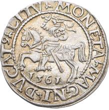 Полугрош (1/2 гроша) 1561    "Литва"