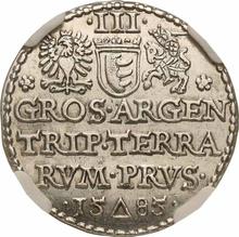 3 Groszy (Trojak) 1585    "Malbork"