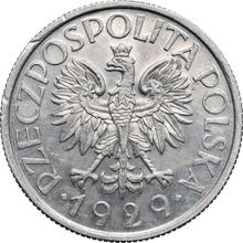 1 złoty 1929    "Średnica 25 mm" (PRÓBA)