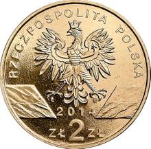 2 złote 2014 MW   "Konik polski"