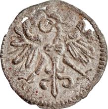 1 denario 1550 CWF   "Wschowa"