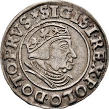 1 грош 1539    "Гданьск"
