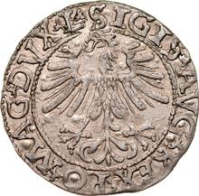 Полугрош (1/2 гроша) 1562    "Литва"