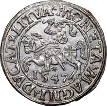 Medio grosz 1547    "Lituania"