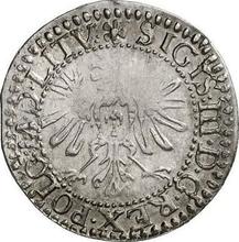 1 grosz 1611    "Litwa"