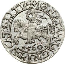 Medio grosz 1560    "Lituania"