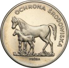 100 złotych 1981 MW   "Konie" (PRÓBA)