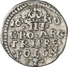 Trojak (3 groszy) 1650    (Prueba)
