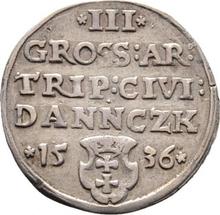 3 Groszy (Trojak) 1536    "Danzig"